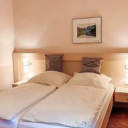 Hotel Auf Halbinsel Scheid In Direkter Ufernaehe Waldeck (Hessen)